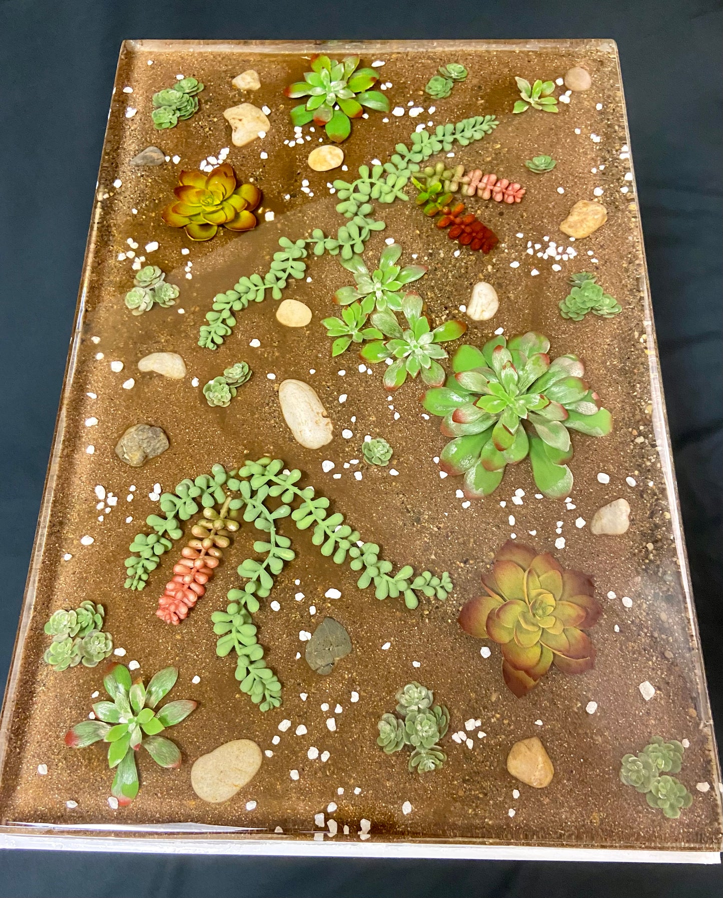 Succulent Table