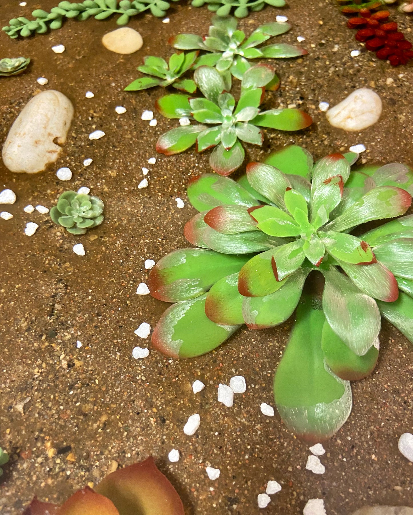 Succulent Table